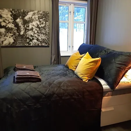 Вилла Heidi - 30 Min Fra Osl - Jacuzzi - Badstu - Elbillader